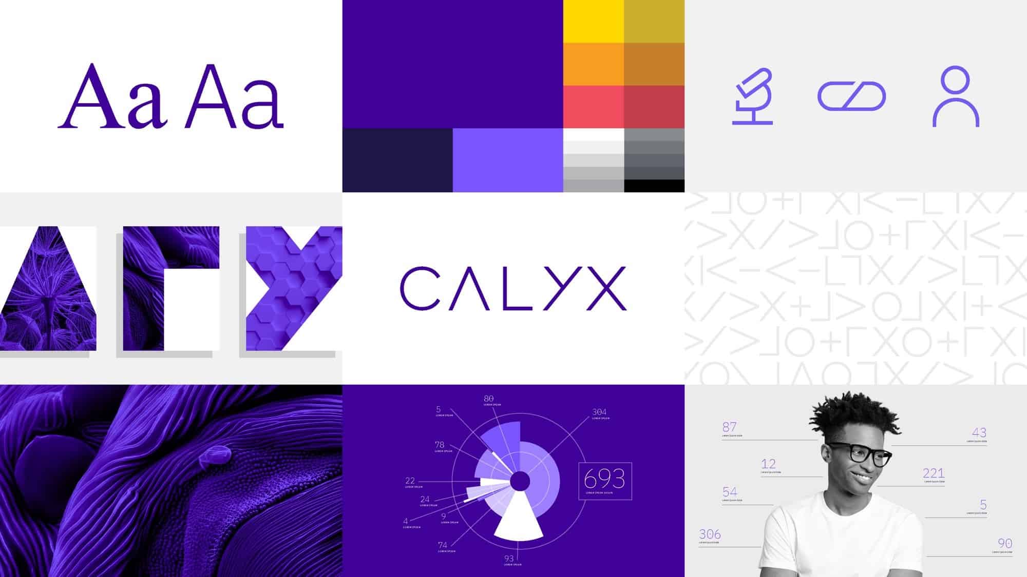 Calyx - Brand examples