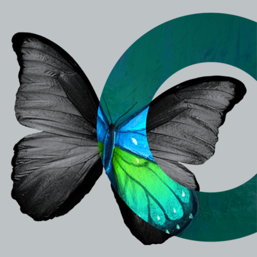 Cella - Butterfly with gray background