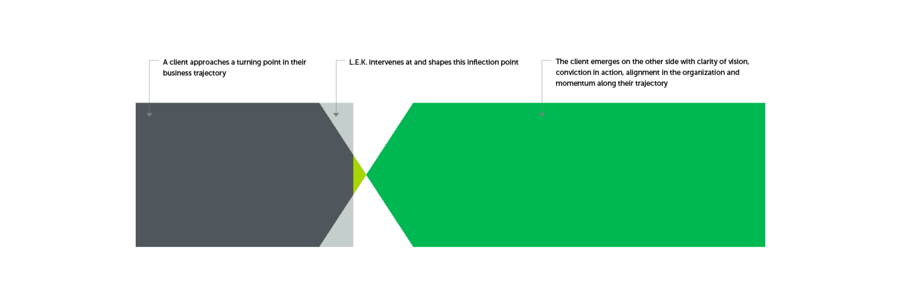 LEK - Strategy shapes