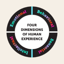 Sensorial and behavioral branding: What you can learn from humanized models to drive ROI